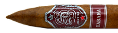 TorpedoHabana.png