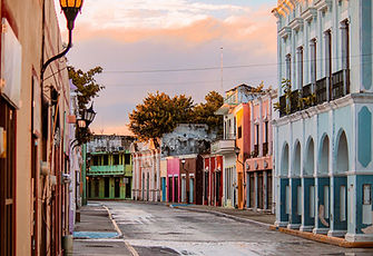 pexels-christian-israel-palacios-resendiz-228508197-27104846.jpg
