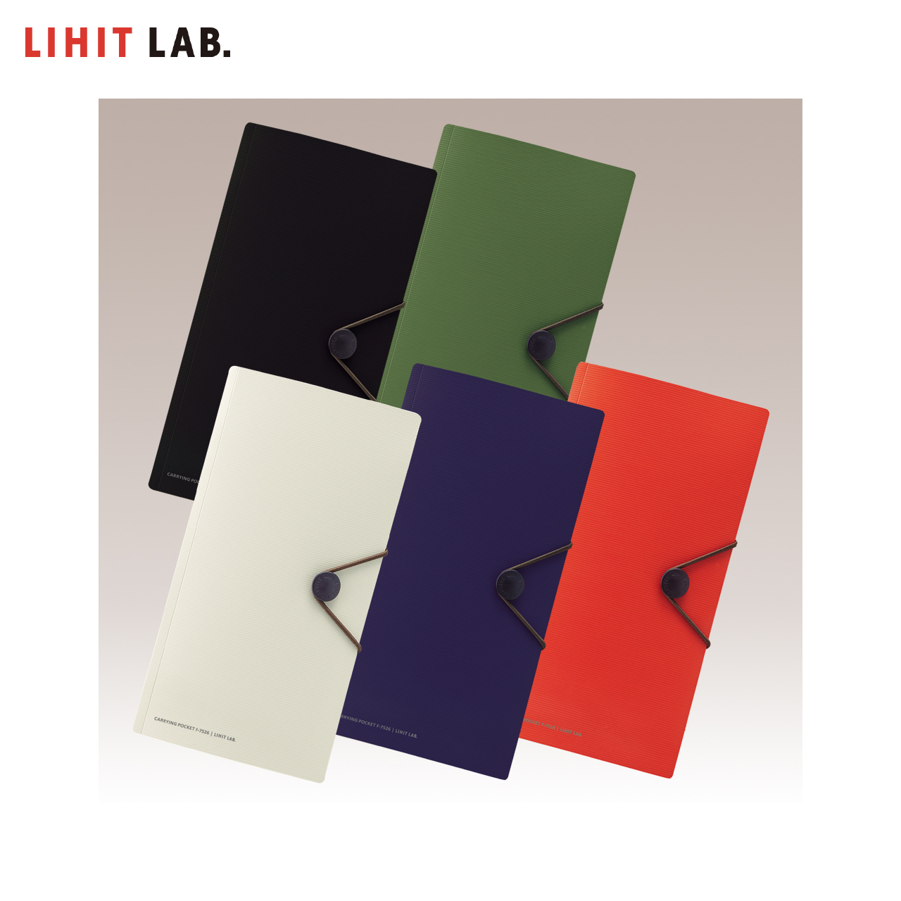 LIHIT LAB Smart Fit Carrying Pocket for Travel [1/3 A4] Size F-7526