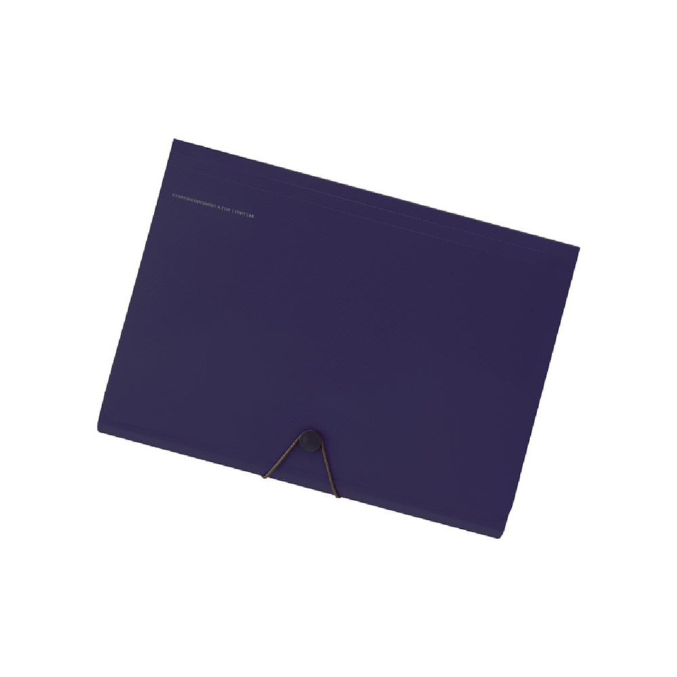 縮圖：LIHIT LAB Smart Fit Pocket Folder A4 Size A-7589
