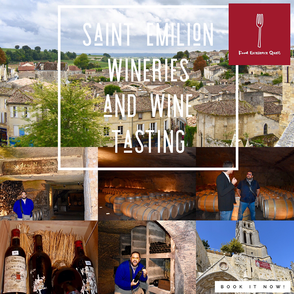 Saint.  Emilion Wineries and Wine Tasting!