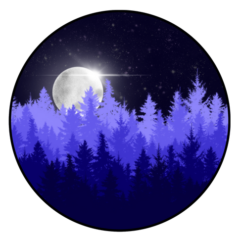 20220110_000534703_iOS.png