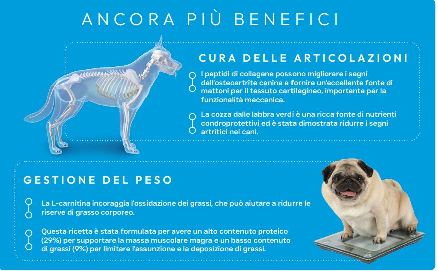 Thumbnail: ZT VET WEIGHT-JOINT CARE 10kG