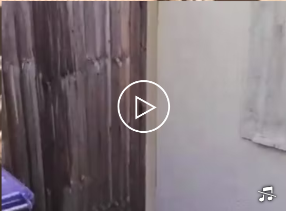 Screenshot 2025-07-19 121827.png