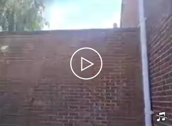 Screenshot 2025-07-19 123838.png