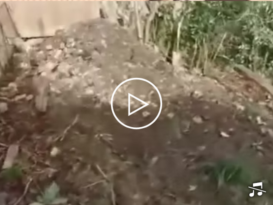 Screenshot 2025-07-19 123552.png