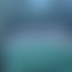 Progress at the Pesek's