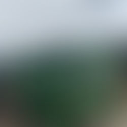 The Pesek Project is Almost Complete but We Still Need Your Help!