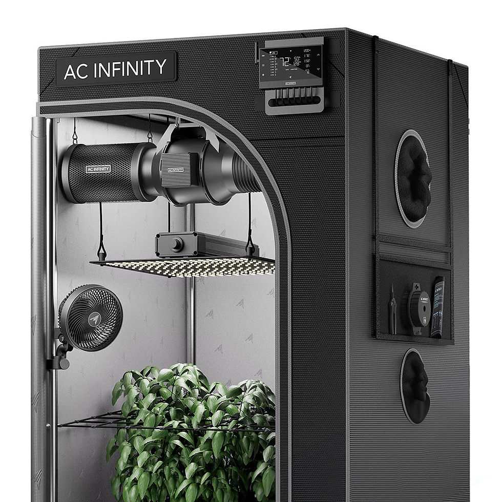 Miniaturbild: AI+ Grow Zelt-System 90 x 90 x 180 cm, 3-Pflanzen-Set