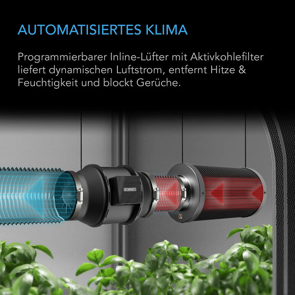 Miniaturbild: AI+ Grow Zelt-System 60 x 120 x 180 cm, 2-Pflanzen-Set