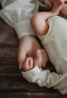 Newborn shoot baby photography velvet photography family shoot
