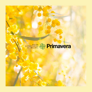 Primavera