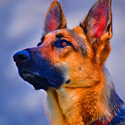Reference Photo - High Saturation.jpg