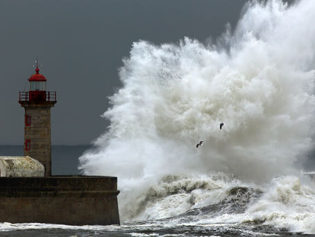 Luxury Boating Suspended for Now