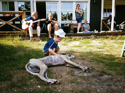 19875093_10155456991401228_3964914948805670362_n