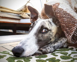 20841835_10155589193631228_7703229648415584757_n