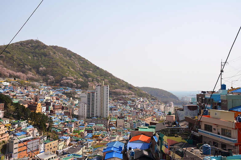 Busan Gamcheon Cultural Village