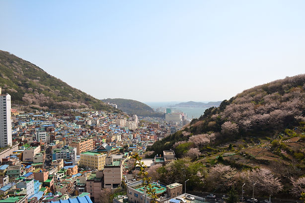 Busan Gamcheon Cultural Village Overvie