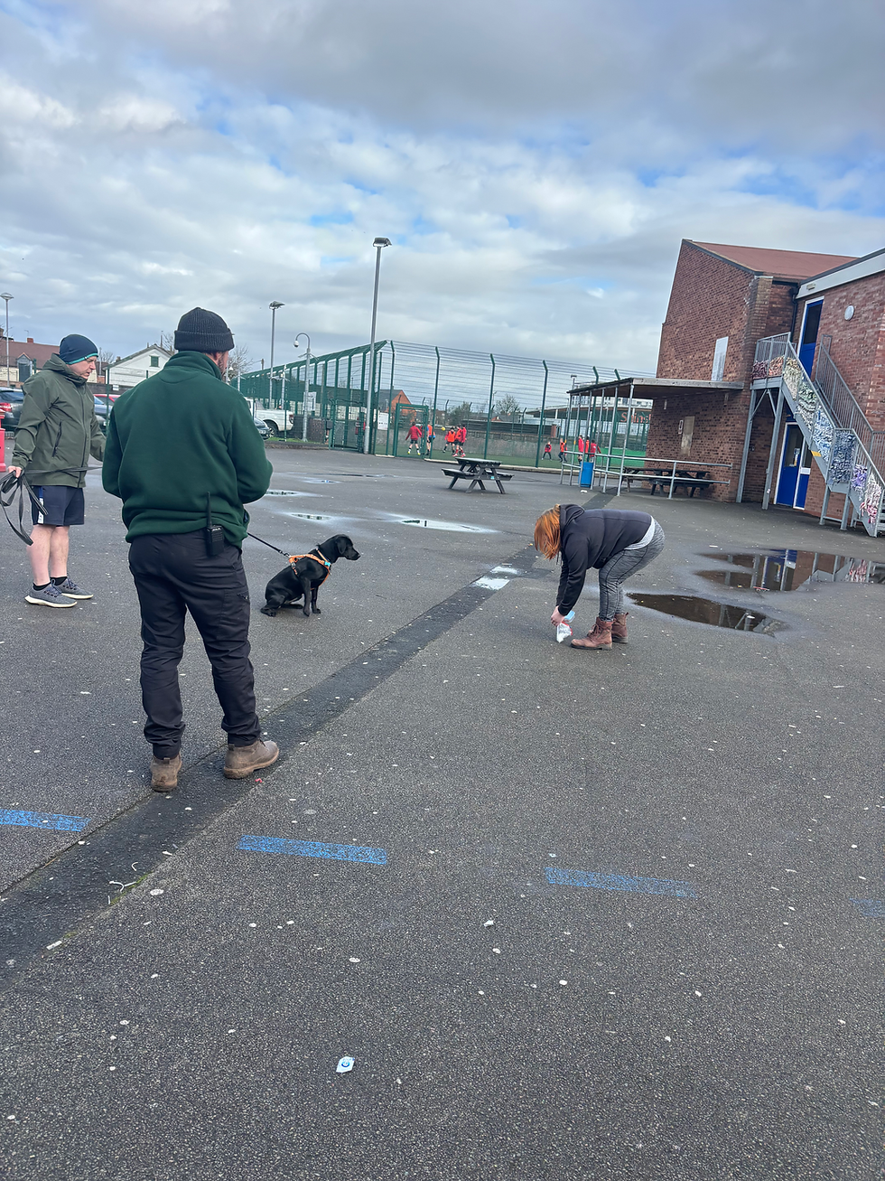 Nosey Dogs’ First All-Scent Taster Day