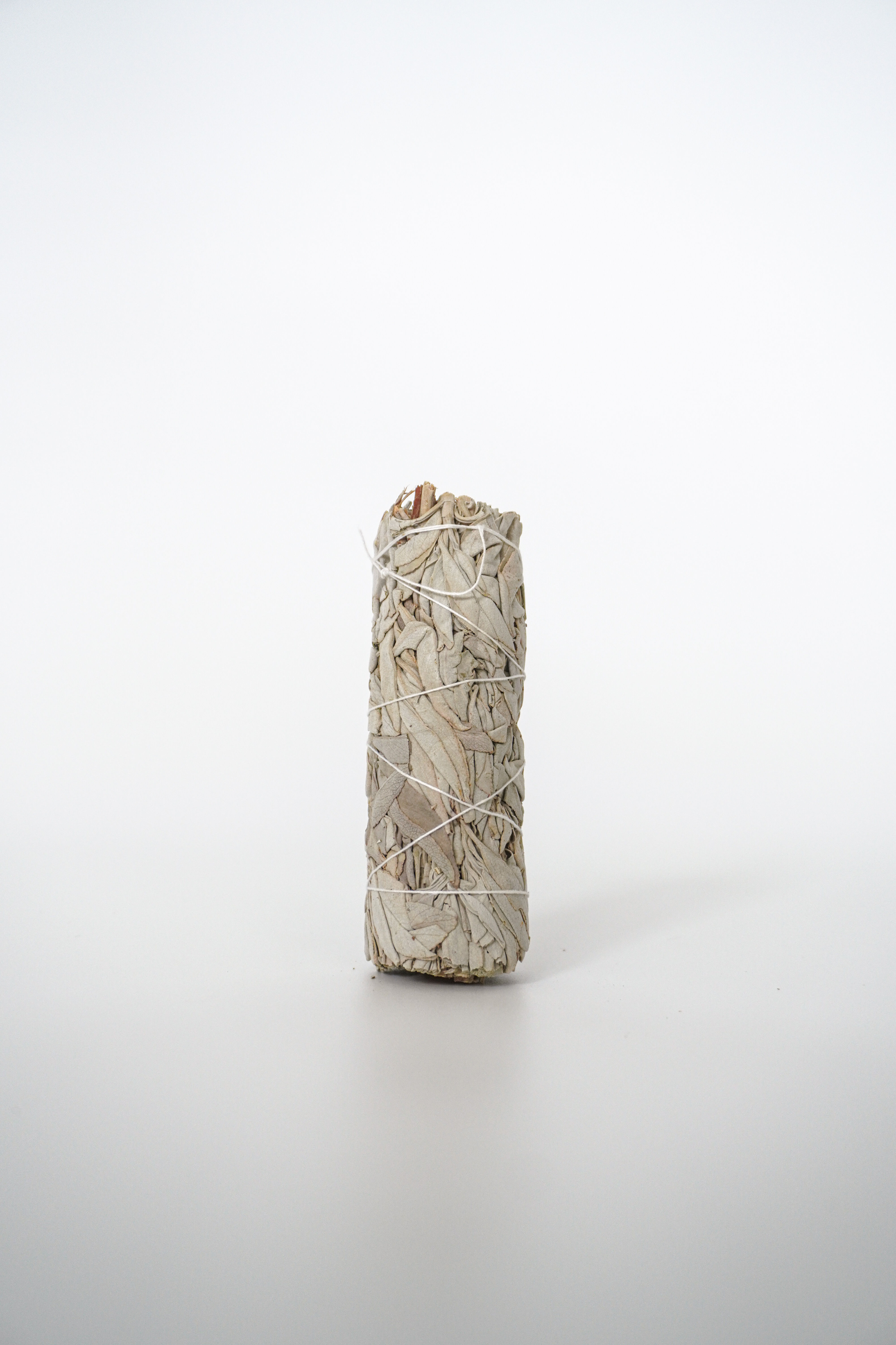 白鼠尾草 White Sage