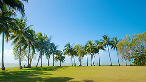 2018 Port Douglas Heart Meeting & Expo