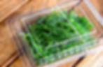 Seaweed salad