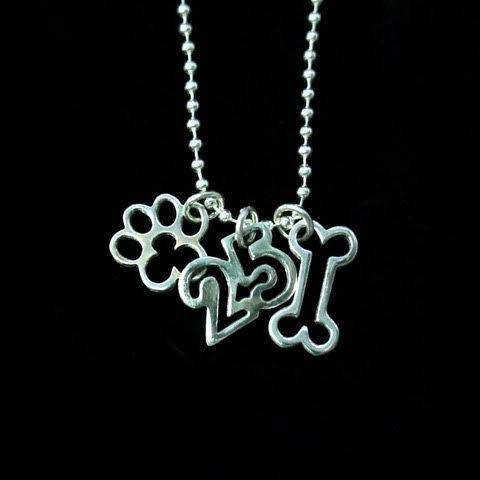 25th Anniversary Sterling Silver Necklace