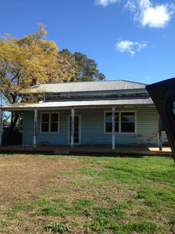 16266094_1495974087098646_5332041032506562376_n