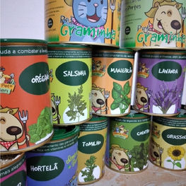 Sementes do Bem e Padaria Pet