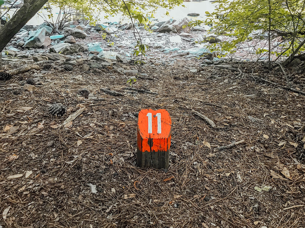 ree