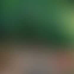 Kayaking Rock Springs in Clear Kayaks!