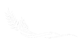 Design sem nome (26).png