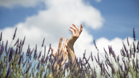 Beyond the Silver Lining: Growth Happens in the Dark