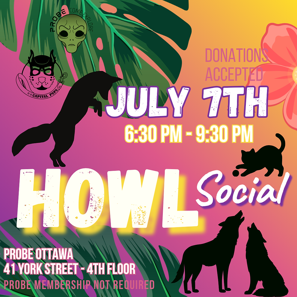 HOWL Social Night