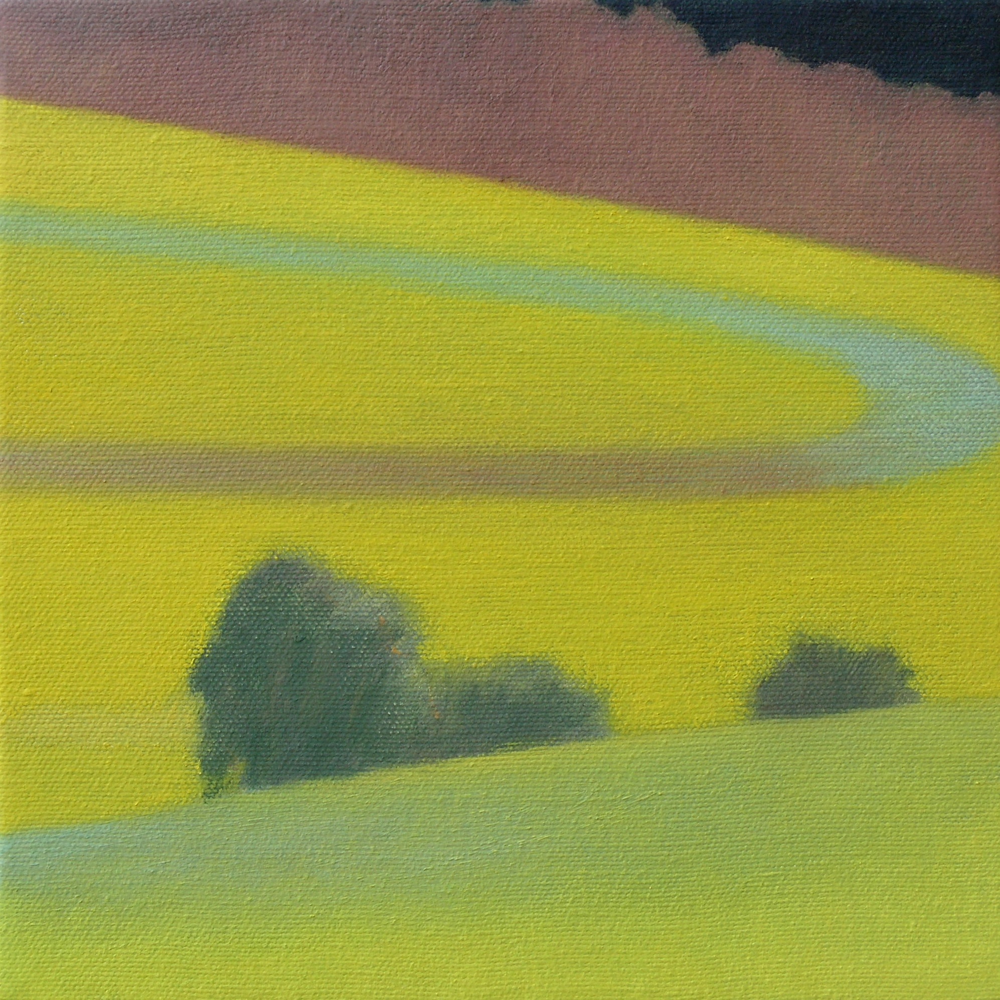 Sunflower fields