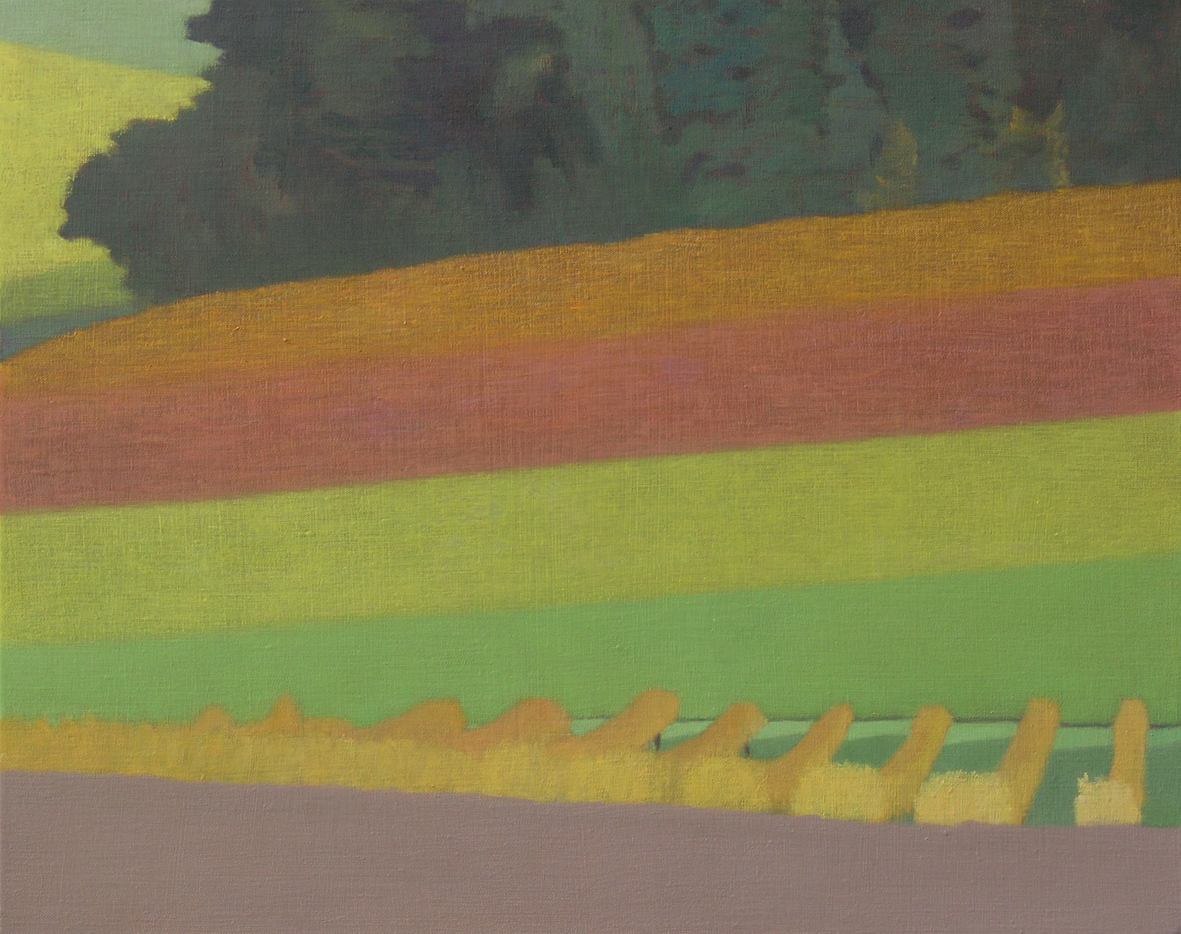 Autumn vineyard 1