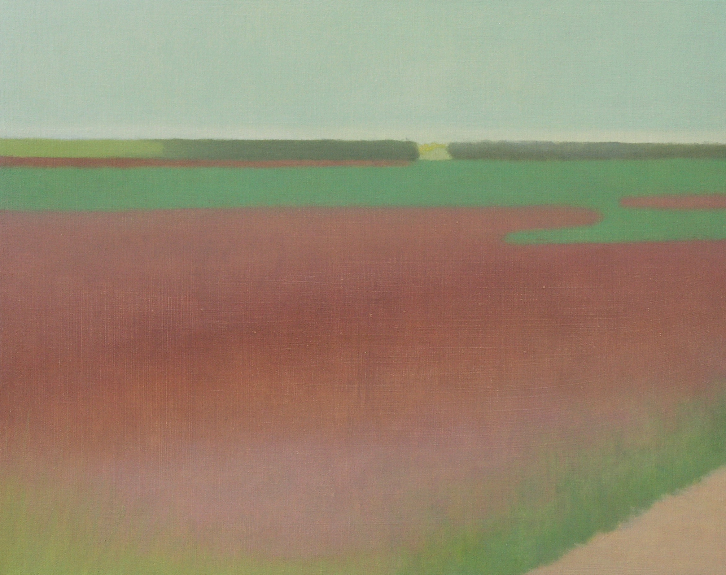 Roman road field