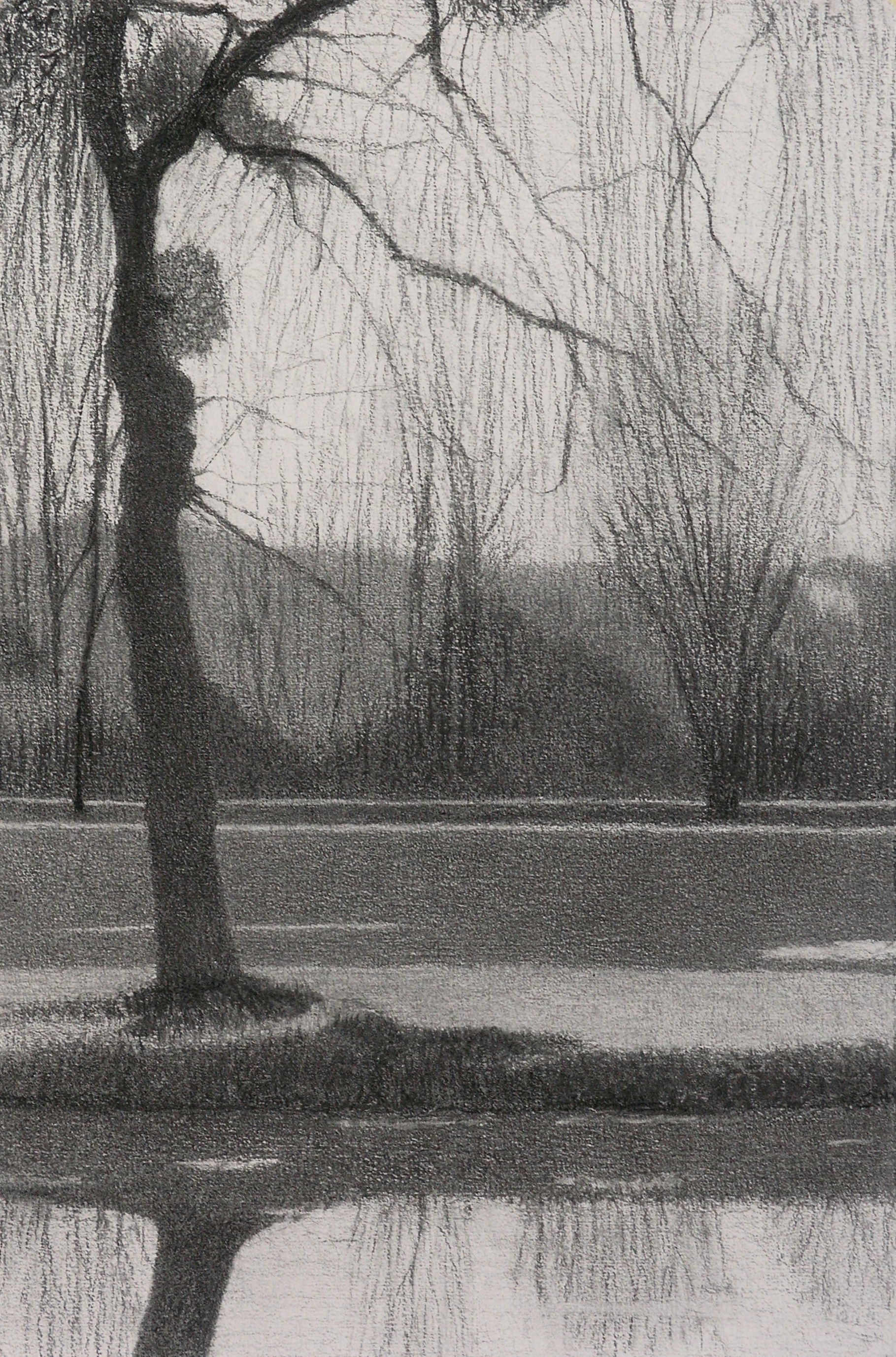 Winter willow