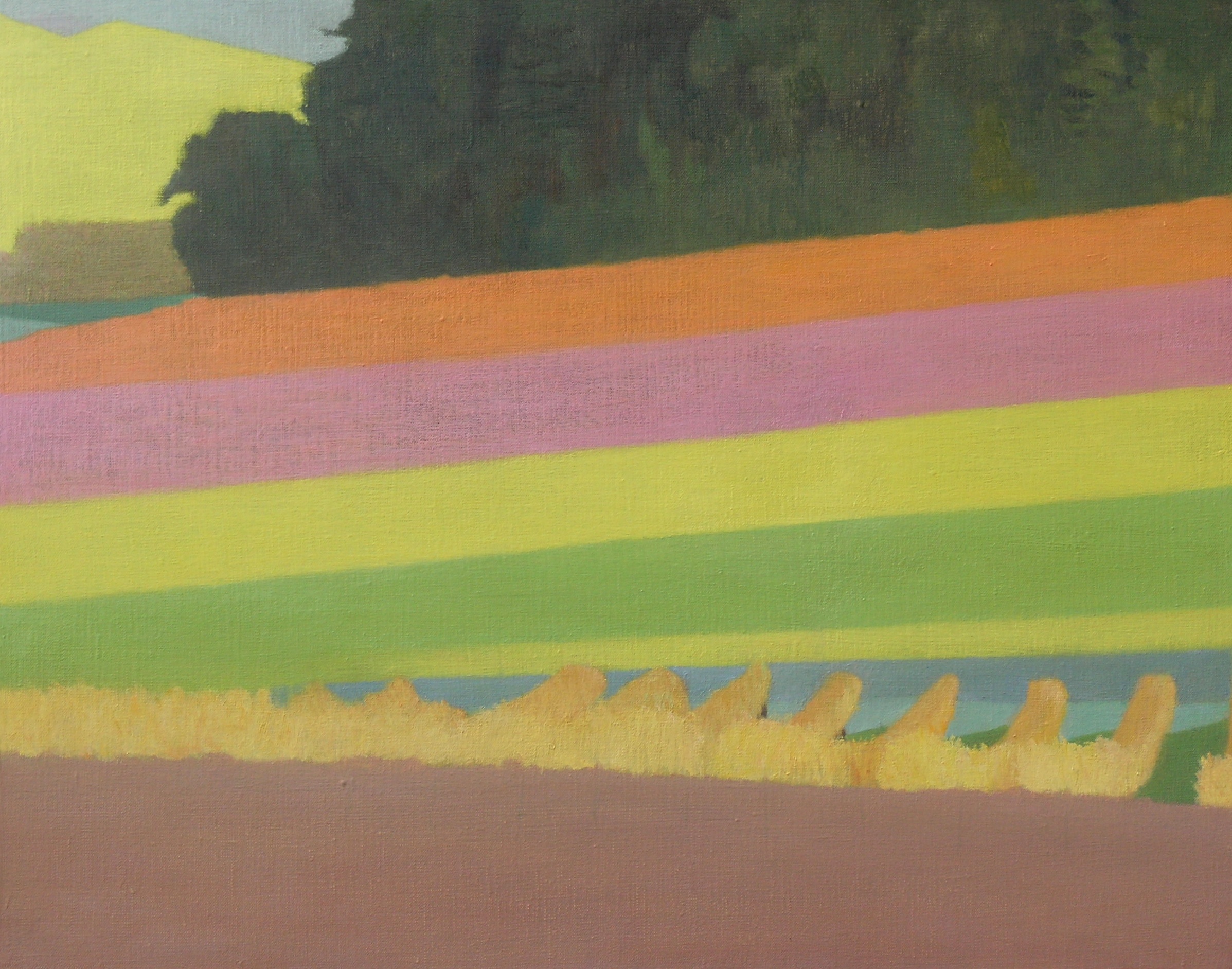 Autumn vineyard 2