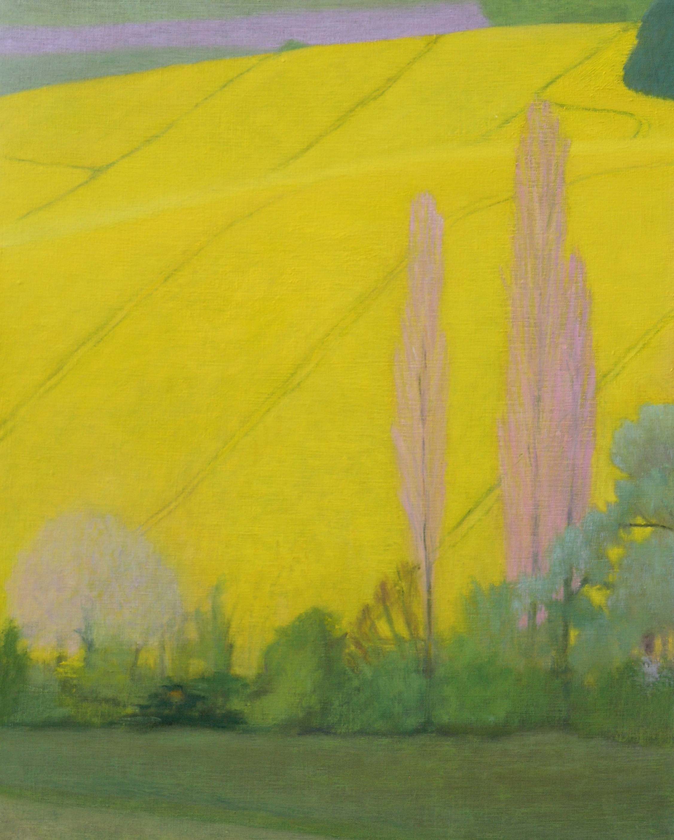 Pink poplars