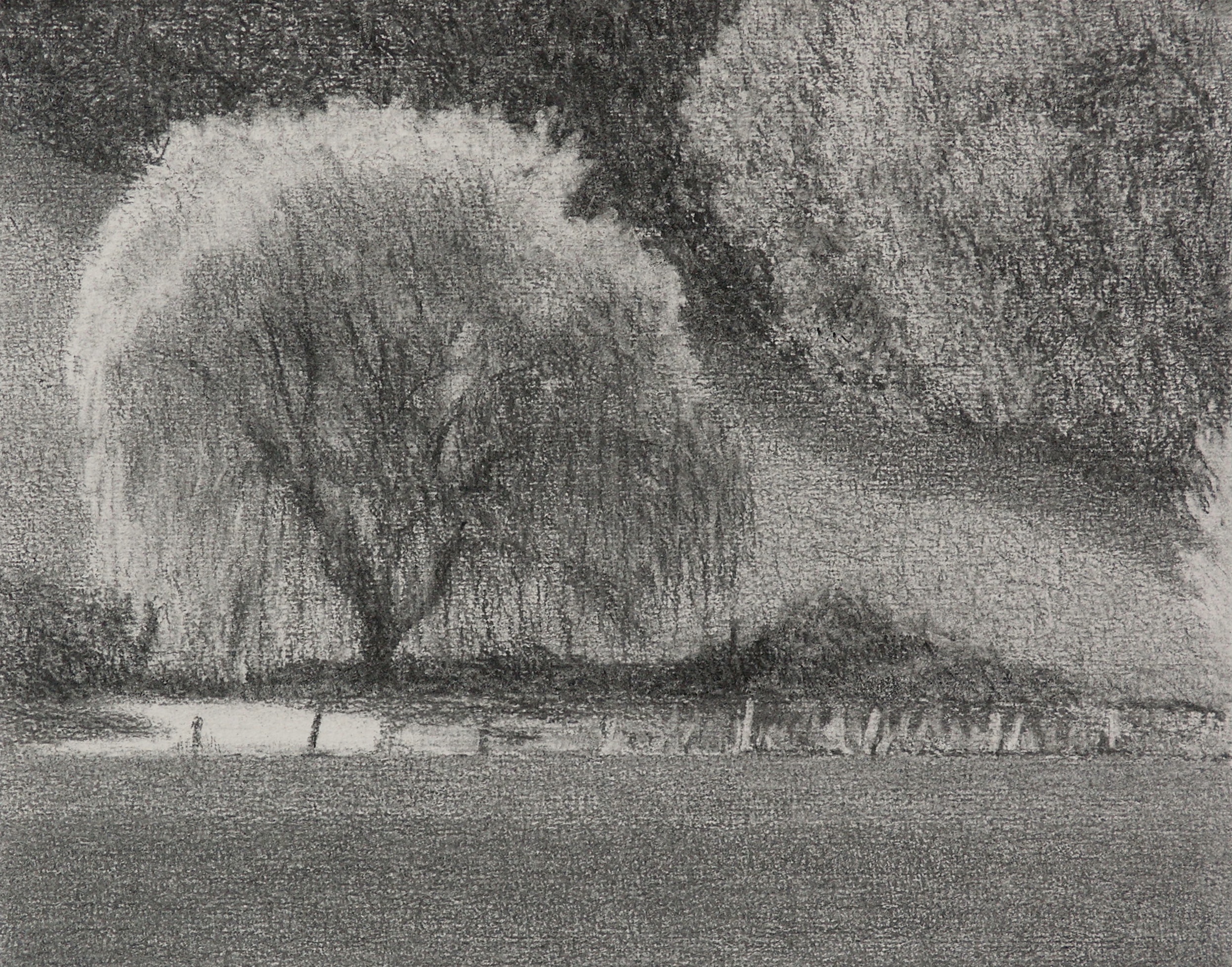 Autumn willow 1