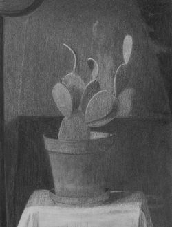 Cactus
