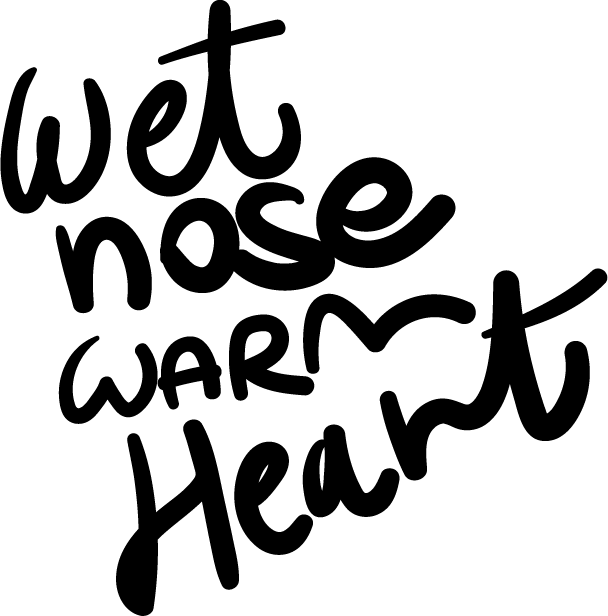 גרפיטי מרפאה פלורנטין 11