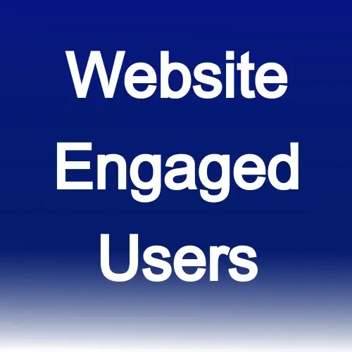 engaged website users