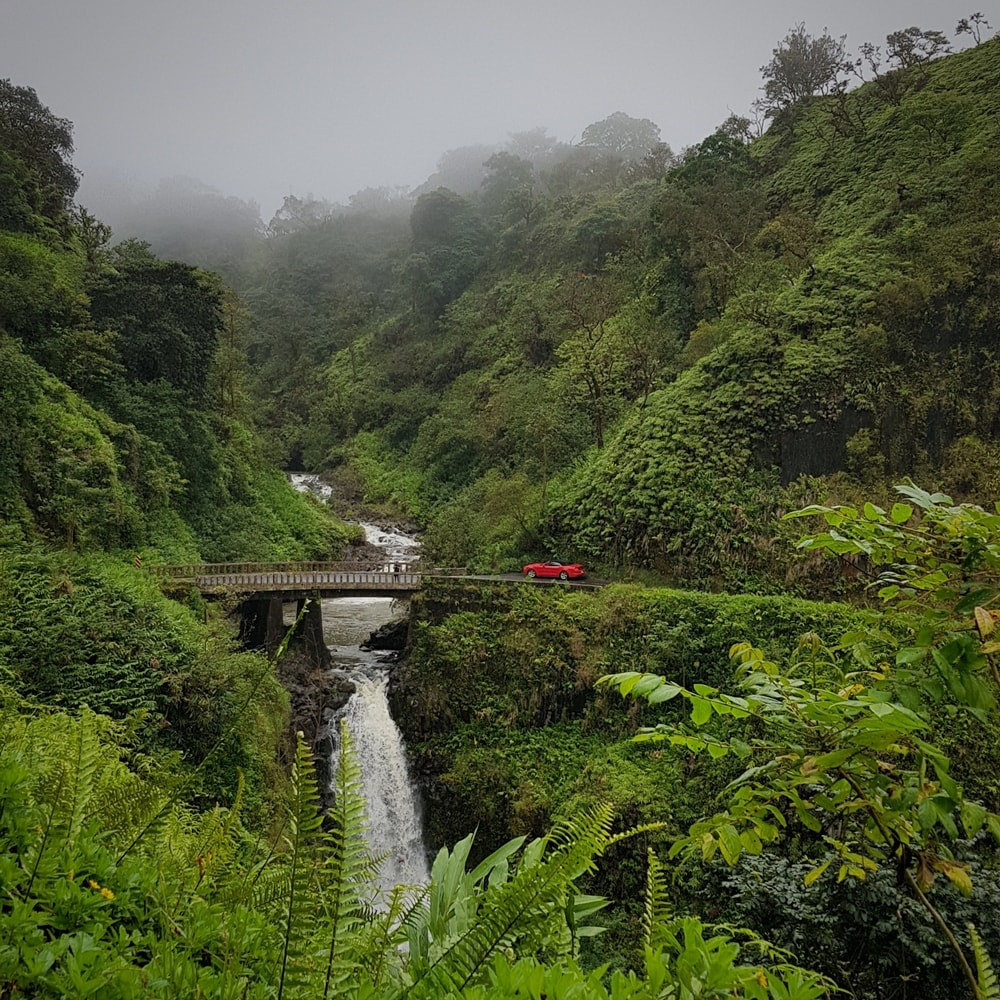 The road to Hana, Maui, Hawaii