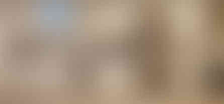 Kitchen cabinetry in white