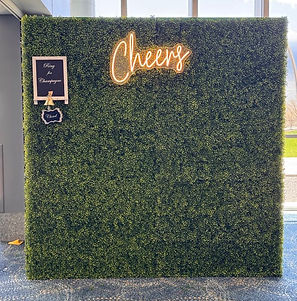 Cheers.jpg