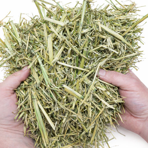 Das Naturbelassene_Stroh Hand_edited.jpg