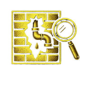 Concealed Leak Detections