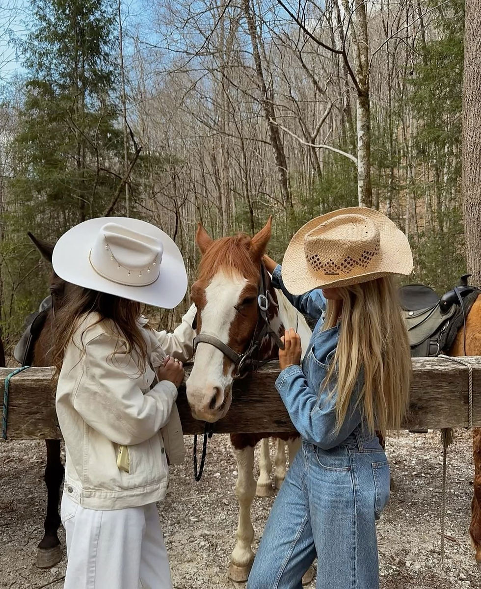 equine art 4.jpg